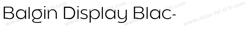 Balgin Display Blac字体转换